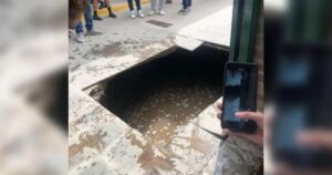 WhatsApp Image 2023-03-29 at 13.05.19