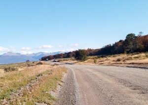 WhatsApp Image 2023-04-10 at 11.30.04 (3)