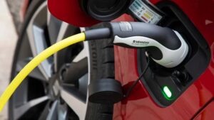 WhatsApp Image 2023-07-04 at 09.23.27