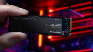 WhatsApp Image 2023-08-18 at 12.27.42