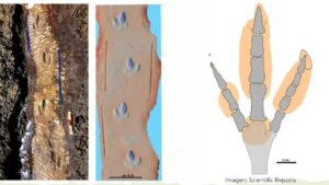 WhatsApp Image 2023-10-03 at 09.28.43