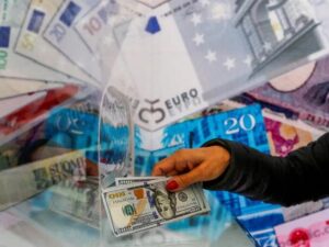 WhatsApp Image 2023-10-11 at 10.49.01