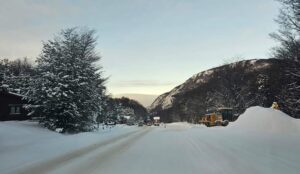 FB_IMG_1718993459122