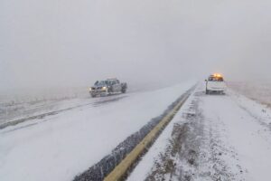 IMG_20240728_142419_238