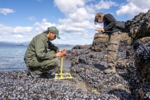 IMG_20240730_154349_992