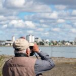 LA PROVINCIA FORTALECIÓ SUS CAPACIDADES EN INVESTIGACIÓN Y MONITOREO DE AVES PLAYERAS MIGRATORIAS