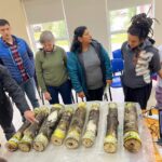 EL GOBIERNO DE LA PROVINCIA&nbsp; INVITA A LA “IV JORNADA DE HONGOS COMESTIBLES EN TIERRA DEL FUEGO”